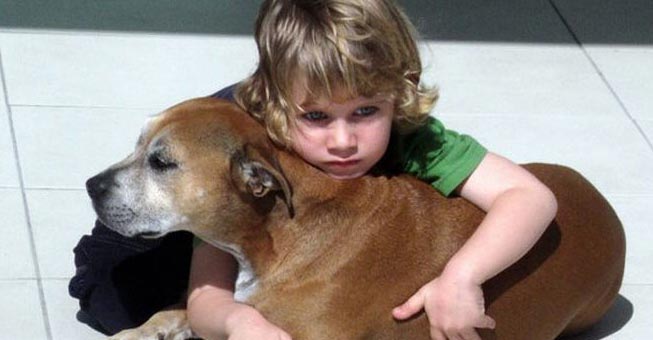 Είπαν σε ένα 6χρονο παιδάκι ότι ο σκύλoς του θα πεθάνεi. Διαβάστε τι τους απάντησε