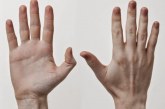 ΤΟ ΗΞΕΡΕΣ; Γιατί έχουμε 5 δάχτυλα σε κάθε χέρι και όχι 4 ή 6;