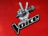 voice